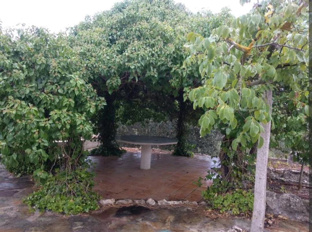 Increible Casa Rural En La Sierra De Altomira Albalate de Zorita Kültér fotó