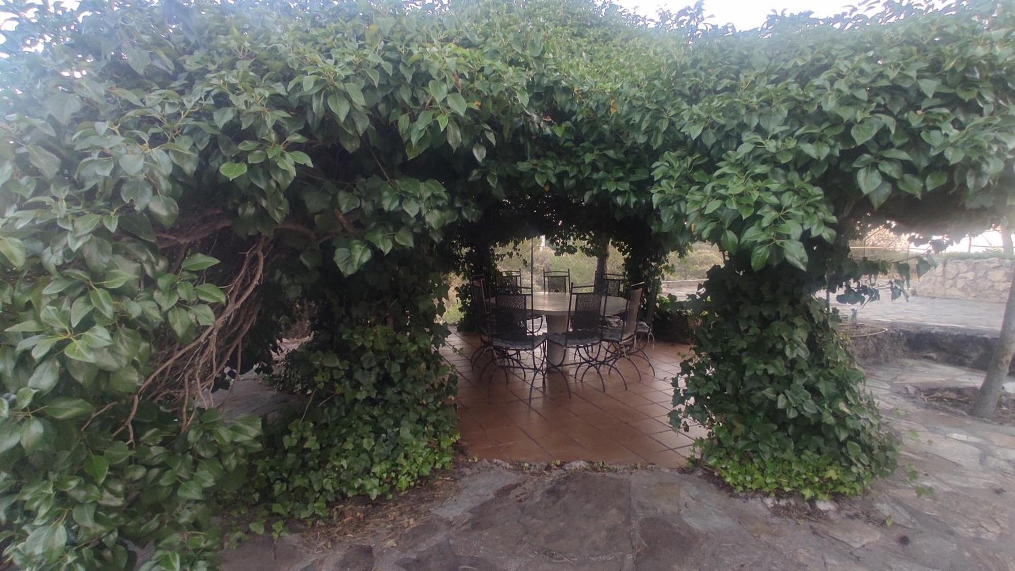Increible Casa Rural En La Sierra De Altomira Albalate de Zorita Kültér fotó